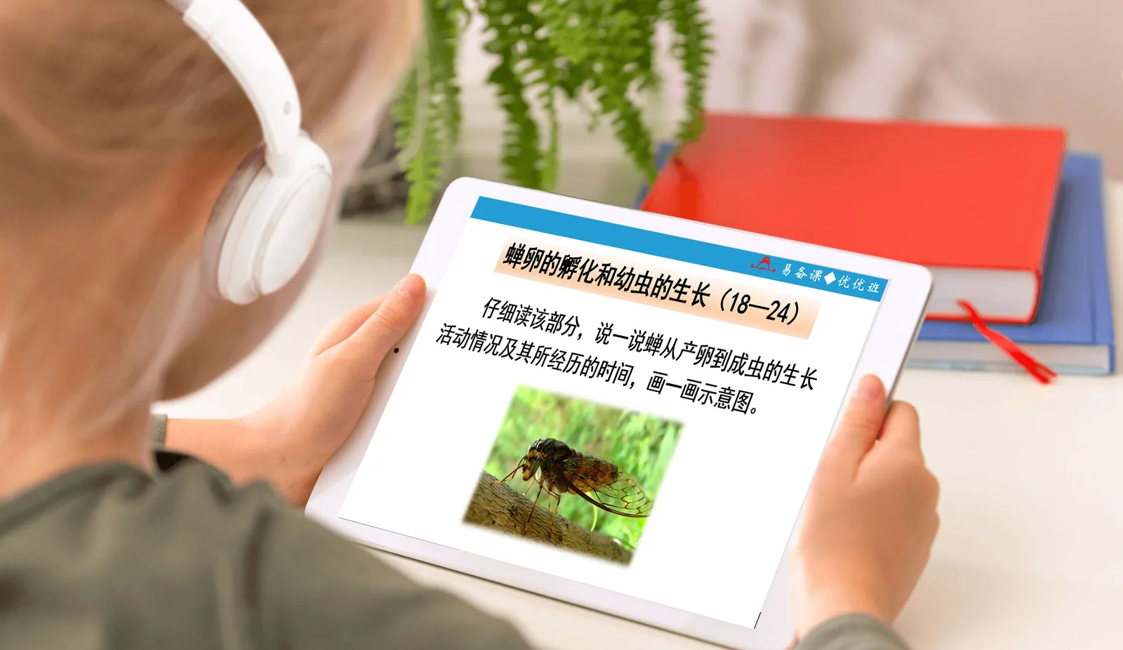 中国語を進化させます